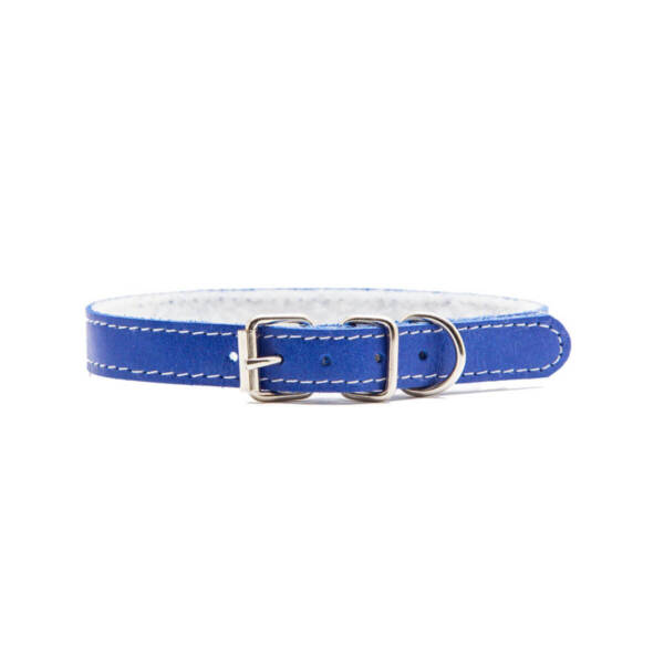 Blue Dog Collar